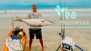 Sight Fishing Massive California yellowtail Kayak Fishing La Jolla [upl. by Cicily]