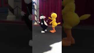 Tweety Bird and Sylvester Movie World [upl. by Nylcsoj]