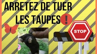 Stop AntiTaupes Pourquoi ne pas tuer les taupes [upl. by Ibson577]