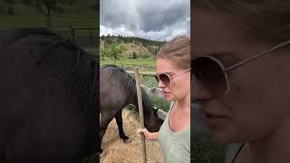 Highlight Rudnik the Roan is live Hanging out and QampA [upl. by Asimaj]