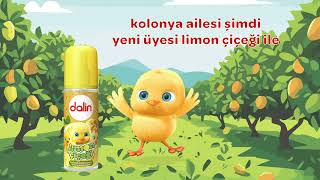 Dalin Kolonya Ailesi’nin Yeni Üyesi Limon Çiçeği [upl. by Ifar]