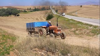 Fiat 640 45 Ton Arpa Yüklü Rampada [upl. by Sugirdor]