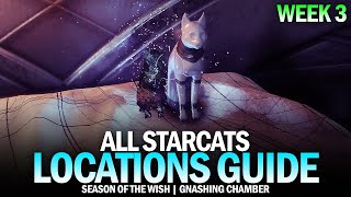 All Starcat Locations Guide  Week 3 Gnashing Chamber Destiny 2 [upl. by Erhart]