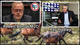 Robert Borsak MLC Interview With 2GBs Ray Hadley on the Cruel Culling Brumbies by the NPWS amp RSPCA [upl. by Nodyarg]