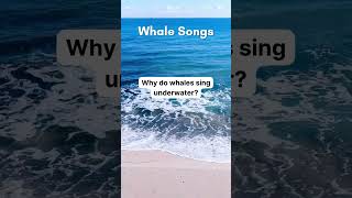 Whale Songs [upl. by Oriaj]