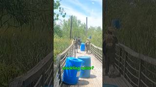 We almost broke the bridge 😟 Bing Field Airsoft Funny Moment airsoft milsim shorts [upl. by Alleinad681]