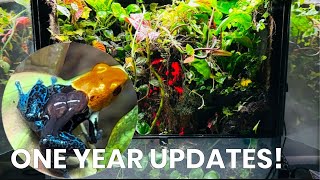 My Rainforest Ecosystems  One Year Updates [upl. by Ttennaej]