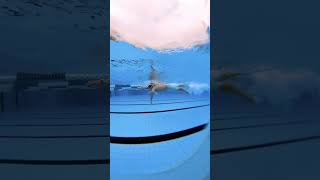 Efficient galopp freestyle swimming swimming [upl. by Kistner]