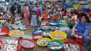 Activities Of Vendors Selling Alive Fish Dry Fish amp Sea Fish In Fish Market  Cambodian Fish Market [upl. by Annaeel]