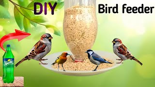 How to make a Bird Feeder DIY Homemade plastic bottle Bird Feeder garden decor [upl. by Nyrac]