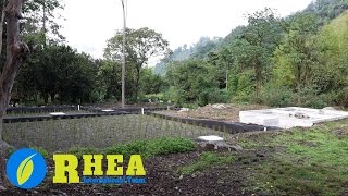 RHEA  Phytoremediation System in Chazo Juan  Ecuador ESP [upl. by Suhsoj]