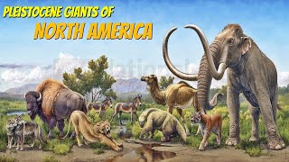 Extinct Pleistocene Megafauna of North America [upl. by Gearard]