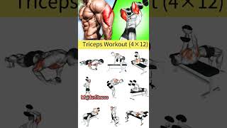 Tricep beginner workout at home motivation workout shorts [upl. by Edmondo]