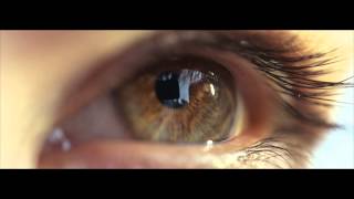 The Human Eye Closeup  Macro slowmotion [upl. by Whitehouse658]