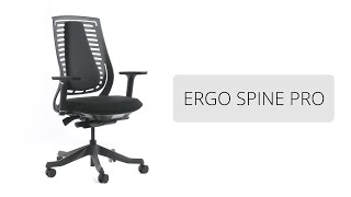 ERGO SPINE PRO  Funktionsvideo [upl. by Adnohral514]