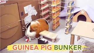 Guinea Pig Social Distancing in DIY Bunker Shelter Vault  GuineaDad [upl. by Annoyed805]