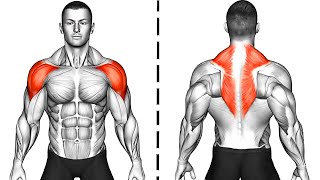 The Best Shoulder and Back Exercises At Home [upl. by Laina]