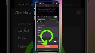 How to Delete Your Search History on Safari shorts safari iphone [upl. by Nysilla293]