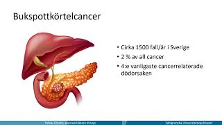 Krirgveckan 2021 Göteborg Pankeascancer [upl. by Eenitsed76]