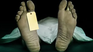 Things About Embalming Your Funeral Director Wont Tell You [upl. by Doss]