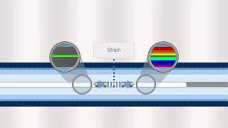 FBG Optical Sensing Overview [upl. by Kolnos591]