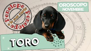 OROSCOPO TORO ♉️ NOVEMBRE 2024 • Cielo Del MESE 🌙 astrologia [upl. by Novoj]