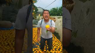 Orange Fruits Video 🍊🍊 Bangla Funny Video 😂😂 shorts orange youtubeshorts [upl. by Sil401]