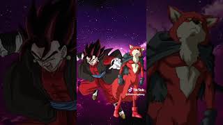 vegito xeno vs universo 11 [upl. by Ilocin]