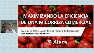 Maximizando la eficiencia de una micorriza comercial  Caso demostrativo en pimiento  ATENS [upl. by Cate]