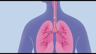 How COVID19 Affects Your Lungs [upl. by Drummond482]