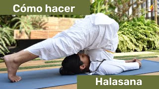 Cómo hacer Halasana Postura de Arado  SRMD Yoga  SRMD Spanish [upl. by Idurt]