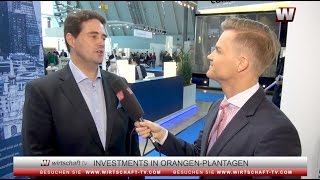 Investments in OrangenPlantagen in Paraguay [upl. by Yleik]