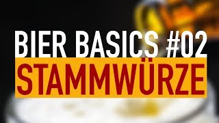 Stammwürze amp Brauprozess  Bier Basics 02 [upl. by Sukhum]