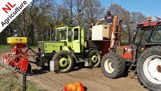 Flowerbulbs  Planting to Harvest on the Veluwe  Gladiolus  Klaas Gootjes  Bloembollenbedrijf [upl. by Conlan]