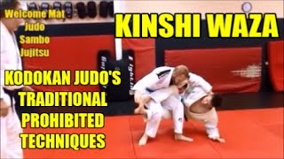 KINSHI WAZA The Techniques Traditionally Prohibited in Kodokan Judo [upl. by Allenad]