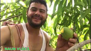 🥭Bajando mangos en El Salvador 😁🇸🇻😂 [upl. by Nodnart]