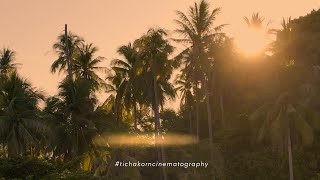 Lance and Nina Trisara TICHAKORN CINEMATOGRAPHY PHUKET THAILAND thailand wedding [upl. by Omari763]