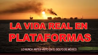 La vida real en Plataformas  Documental [upl. by Devonna]