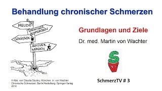 Behandlung chronischer Schmerzen  Grundlagen und Ziele [upl. by Philemol]