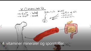 Naturfag vitaminer mineraler og sporstoffer [upl. by Nednarb]