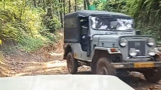 wayanad jeepsafari mm540offroad forestriding offroadvehicles Jeep safari at wayanad [upl. by Eednac]