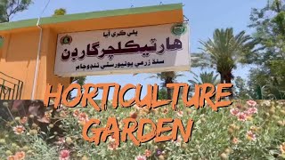 Horticulture Garden SAU Tando Jam Sindhi Vlog [upl. by Moreland]