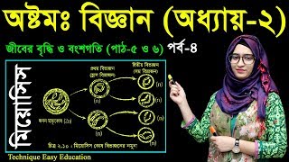 18 Class 8 Science Chapter 2 Part04 ll JSC Biggan Chapter 2 ll Eight Biggan 2 ll মাইটোসিস [upl. by Haila513]