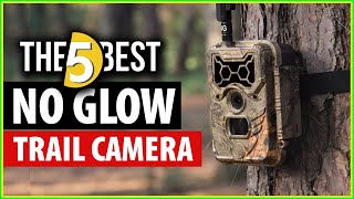 Top 5 Best No Glow Trail Camera in 2024  According to Product Testers [upl. by Silda]