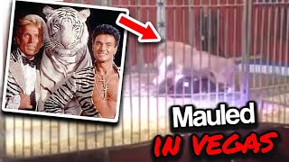 The Terrifying Footage Of Vegas Performers Siegfried And Roy [upl. by Eladnek]