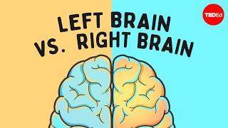 The left brain vs right brain myth  Elizabeth Waters [upl. by Enetsirhc]