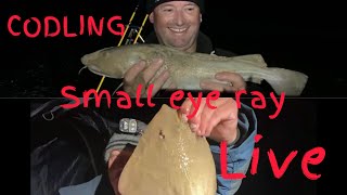 SOUTHBOURNE BRILLIANT LIVESTREAM  fish content 👊👍 [upl. by Rebmac]