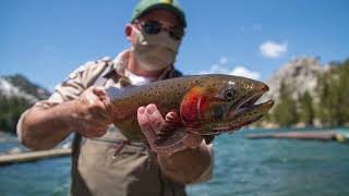 CDFW Creating Lahontan Cutthroat Trout Sport Fishery at Echo Lake [upl. by Martijn]