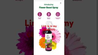 Flower boost spray for all types of plants no bud drops fresh flowers [upl. by Ayikal698]