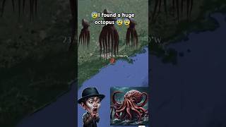 😰😰I found a huge octopus 😰😰🐙googleearth googlemaps map trending Mysteriousworldexplorer [upl. by Llerroj]